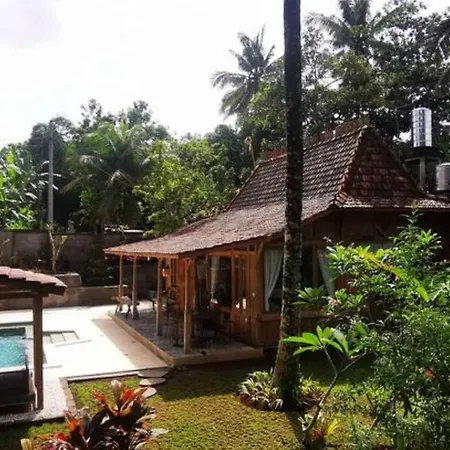 The Birdhouse Villa